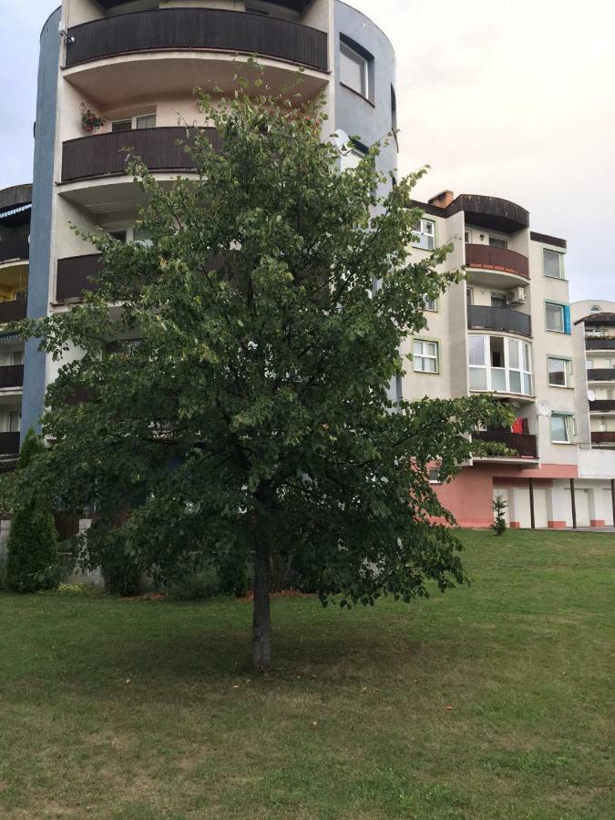 Apartment Tekelova 95M2 Prešov Exterior foto
